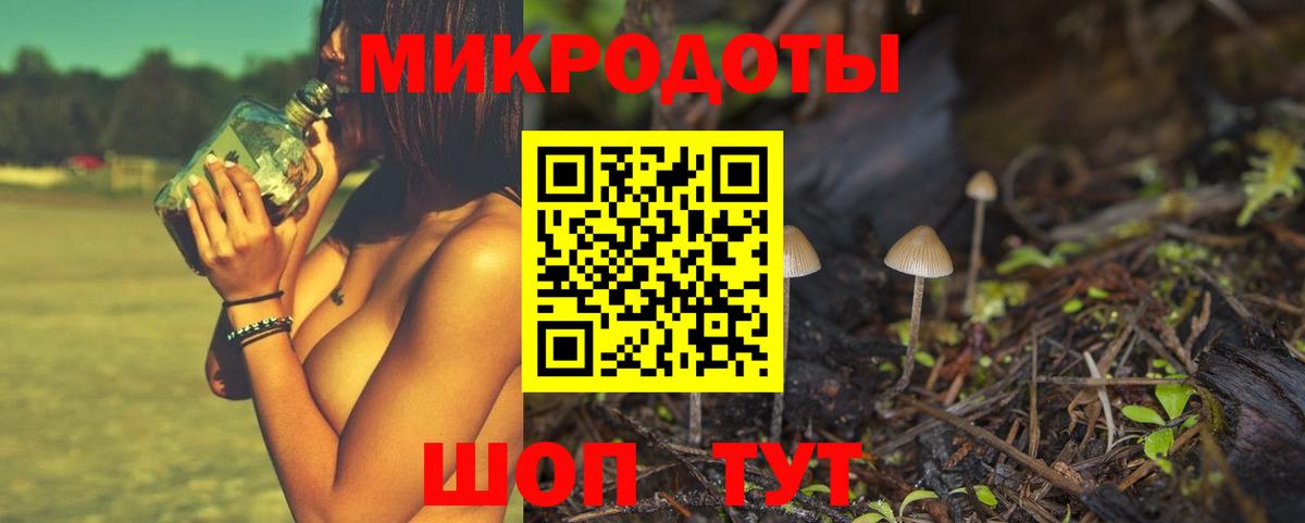 Галлюциногенные грибы Psilocybine cubensis Чусовой